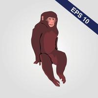 Cute monkey icon. Vector illustration isolated on a grey background.