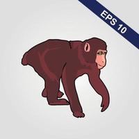 Cute monkey icon. Vector illustration isolated on a grey background.