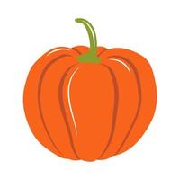 ilustración de calabaza sobre un fondo blanco. ilustración vectorial vector