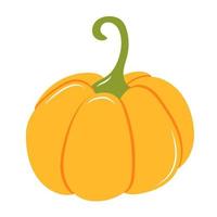 ilustración de calabaza sobre un fondo blanco. ilustración vectorial vector