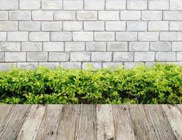 stone wall with green leaves and wood floor background photo