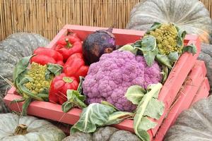 calabaza orgánica y verdura en caja de madera en feria agrícola. cosechando el concepto de tiempo de otoño. jardín otoño planta natural. decoración de halloween de acción de gracias. fondo rural de la granja festiva. comida vegana. foto