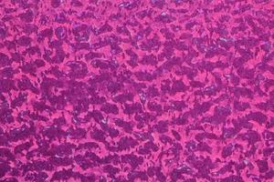 Abstract design background of arbitrary textured violet sale concept. Divorces and smooth lines of paint, colors. Bright fashion black and pink spots wallpaper pattern. Close-up, mock up, top view photo