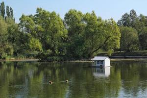 White wooden floating duck house in the centre of the pond in public park. Bird sanctuary in artificial lake. Spring nest. Summer green view. Wildlife nature reserve in river water. Waterfowl shelter photo