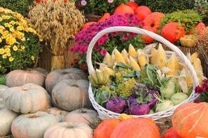 Organic pumpkin and vegetable in rattan basket on agricultural fair. Harvesting autumn time concept. Garden fall natural plant. Thanksgiving halloween decor. Festive farm rural background. Vegan food. photo