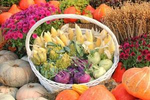 Organic pumpkin and vegetable in rattan basket on agricultural fair. Harvesting autumn time concept. Garden fall natural plant. Thanksgiving halloween decor. Festive farm rural background. Vegan food. photo