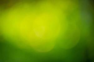 Green defocused background. Defocus light natural green with sunshine. photo