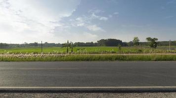 vista horizontal de la carretera asfaltada en tailandia. fondo de camino de tierra paralelo y campos de arroz verde y árboles con poste eléctrico. bajo el cielo azul. foto