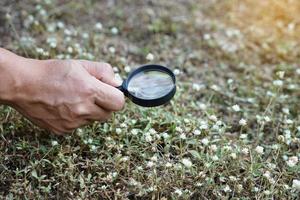 Closeup hand hold magnify glass to explore tiny grass flowers. Concept, examine, explore, research nature or biological organisms. Study about environment and plants. Science tool photo