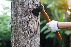la mano de primer plano sostiene un hacha de mango de madera para cortar un árbol. concepto, . herramienta manual para carpintero y leñador, leñador. arma. derribar árbol. destruir bosque. deforestación. foto