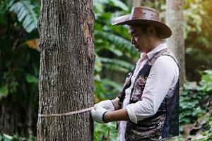 Asian male botanist is measuring trunk of tree to analysis and research about growth of tree. Concept, forest valuation. Conservation of environment. photo