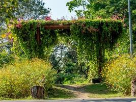 flower arch on flower background photo