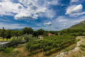 monasterio de tvrdos en bosnia y herzegovina foto