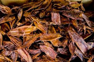 Dried seafood on the market in Bangkok, Thailand photo