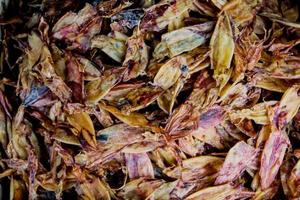 Dried seafood on the market in Bangkok, Thailand photo