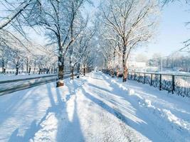 Magical winter season. Snow path through winter forest on a sunny day. photo