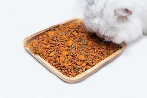 Close up of White Persian cat eating dry cat food serving on wooden board. Isolated on white photo