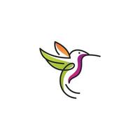 vector de logotipo de colibrí