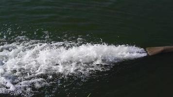 Lägg till luft till vatten förbi plattning de rör och använder sig av tryck till spray bubblor på de vatten yta. video