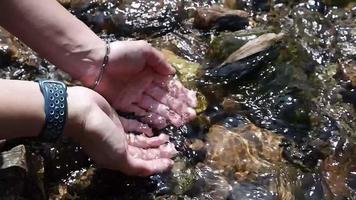 femmina mano recupero acqua nel un' fluente ruscello il pavimento nel il acqua è pieno di bellissimo rocce. video