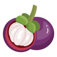 Mangosteen fruit icon cartoon vector. Garcinia mangosten vector