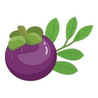 Whole mangosteen icon cartoon vector. Food fruit vector