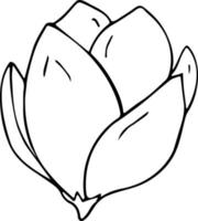 Hand drawn flower on white background. One line contour floral drawing. Outline botanical element. Vector illustration