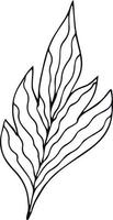 Hand drawn leaf on white background. One line contour floral drawing. Outline botanical element. Vector illustration