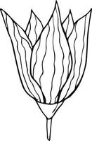 flor dibujada a mano sobre fondo blanco. dibujo floral de contorno de una línea. esbozar elemento botánico. ilustración vectorial vector