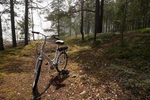 la bicicleta está estacionada en un bosque de pinos en una alta colina rocosa. concepto de recreación activa. foto