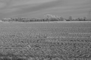 Winter time in germany photo