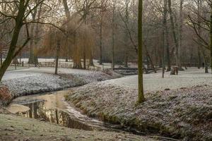 Winter time in germany photo