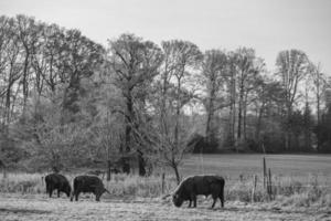 Winter time in germany photo