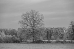 Winter time in Germany photo