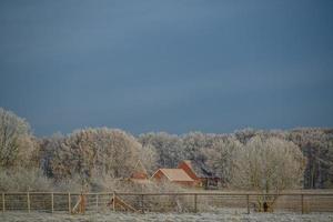 winter time in germany photo