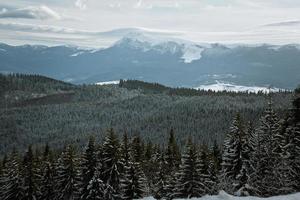 Amazing Hoverla in winter landscape photo