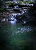 cerrar la foto clara del concepto de agua de río