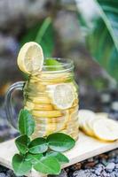 imagen de una taza de agua fresca con infusión de limón adornada con hojas de lima y rodajas de limón foto