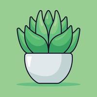 Indoor Potted Plant vector