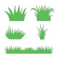 Multiple Different Green Grass On White Background vector