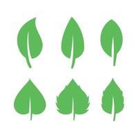 Multiple Differnt Green Leaves vector