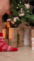 video vertical, hermosas piernas femeninas con calcetines rojos de año nuevo son adecuadas para decorar un árbol de navidad de puntillas. año nuevo, ambiente invernal, luz cálida. Actitud festiva.