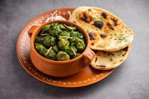 Soya Chunks Palak curry also known as Spinach Soyabean chunks sabzi or sabji, Healthy Indian food photo