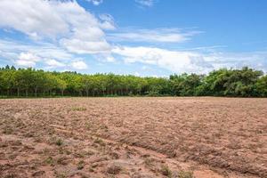 Soil, forest and sky in agriculture photo