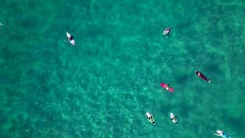Surfer, die mit Surfbrettern auf unberührtem Wasser schwimmen video