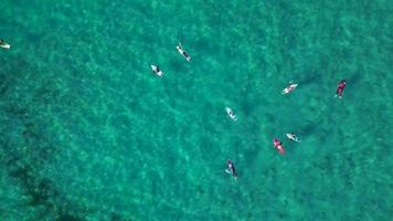 surfeurs sur les vagues de la plage tropicale video