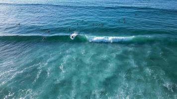 Surfer auf Surfbrett fahren perfekte Wellen video