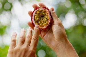 manos femeninas sosteniendo fruta de la pasión fresca y madura foto