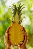 Female hands with fresh and ripe pineapple photo