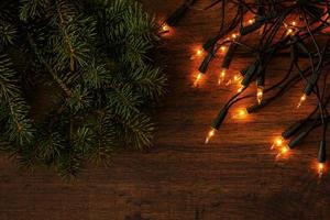 Christmas lights and branches of spruce photo